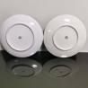 Vintage Pair Tirschenreuth and Mitterteich Bavaria Germany Plates Clasic Paints