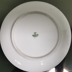 Vintage Pair Tirschenreuth and Mitterteich Bavaria Germany Plates Clasic Paints