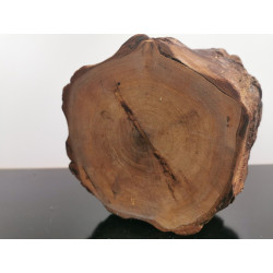 Jewelry Trinket Log Secret Box Hand Made Natural Wood Bark Around Wooden Art