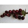Polished Stone Fruit Sculptures Red Stone Grape Cluster with Jadeite Leaves